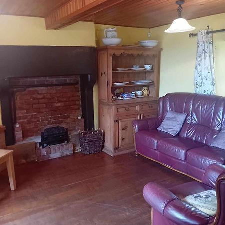 Pine View Self Catering Holiday Home ドネゴール エクステリア 写真